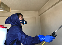 殺菌・消毒・害虫駆除をして、居住可能にします！